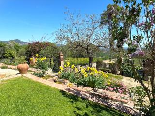 Masia Can Viver - Olive oil tourism B&B - Bigues i Riells - 4