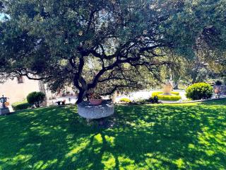 Masia Can Viver - Olive oil tourism B&B - 2