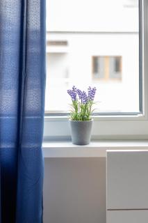 Flaminga Two-Level Apartment - Stettino - 5