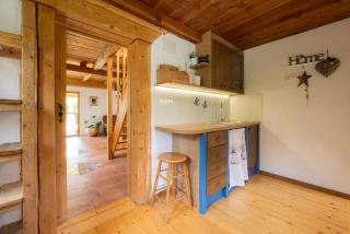 Vila Jana - Radovljica - 5
