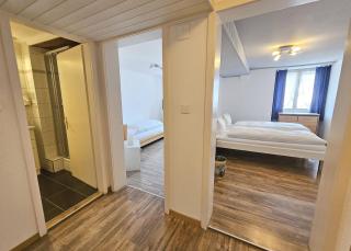 Hotel Taverne zur Linde - Bischofszell - 8