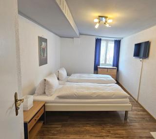 Hotel Taverne zur Linde - Bischofszell - 9