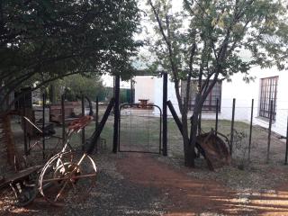 Springfontein Guesthouse - Springfontein - 9