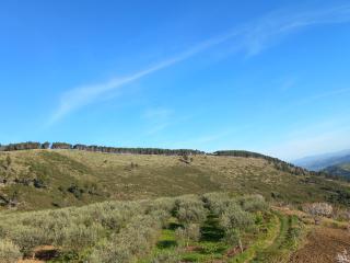 Vila Dean - 4