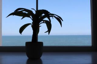 Sunrise Cottage - Llanddulas - 6