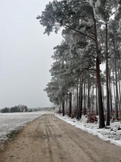 Ranczo pod lasem - Witnica - 1