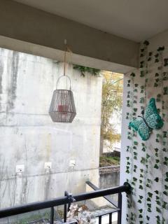 Le Cocon Manceau - 7