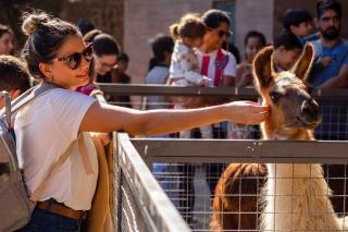 Hotel Vila Verde - 7