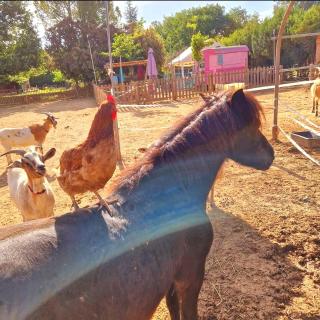 Séjour à la ferme - Jouques - 3