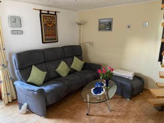 Ferienhaus-Pahl-in-Wolfshagen - Wolfshagen - 8