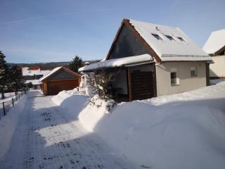 Ferienhaus-Pahl-in-Wolfshagen - Wolfshagen - 2