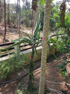 Ashiaana Homestay - Trichūr - 8