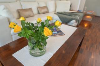 Luxury Apartment Nana - Bled - 3