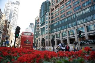 Central London 1 Bed Apt- Sleeps 3 & Pet Friendly - Londra - 4