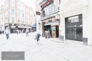 Central London 1 Bed Apt- Sleeps 3 & Pet Friendly - Londra - 5