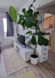 Linnankatu Apartment - Savonlinna - 9