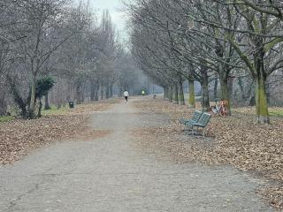 Casa Prospettiva Verde, tra natura e città - Milan - 2