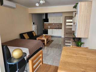 Studio apartman BORLIN - Karlovac - 5