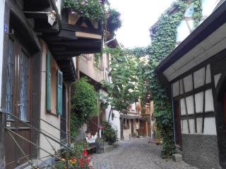 Gîte Le Hissala - Eguisheim - 5