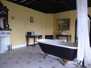 Kinnitty Castle Hotel - 2