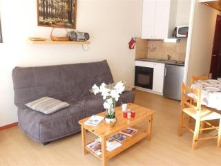 Appartement T2 pour 4 à 5 pers, Saint-Lary-Soulan, cuisine équipée, balcon sud, proche services et loisirs - FR-1-457-221 - Saint-Lary-Soulan - 2