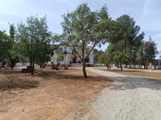 casa sierrecilla - Fuente de Piedra - 6