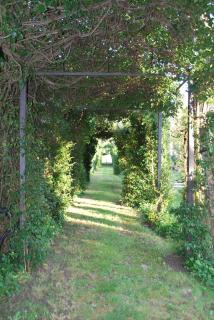 Villa Visocchi Bed and Breakfast - Atina - 5