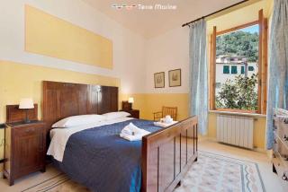 Maison Monterosso, TerreMarine - 9