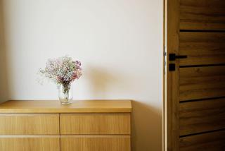 Apartament Thaddeus 48 z tarasem - 4