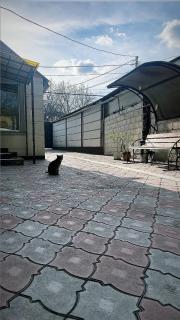 Fam_House - Bichkek - 9