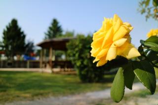Agriturismo Ai Vigneti - Ponti Sul Mincio - 2