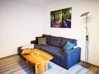 Apartment in Bad Grund (Harz) - Bad Grund - 9