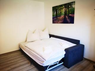 Apartment in Bad Grund (Harz) - Bad Grund - 6
