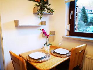 Apartment in Bad Grund (Harz) - Bad Grund - 1