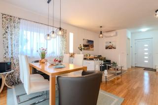 Magnolia modern house with spacious garden - Novalja - 1