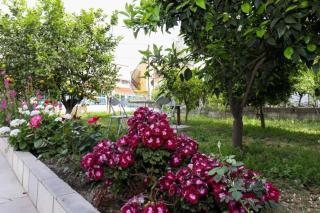Vila Agolli - Vlorë - 5