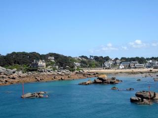 Maison 2* à 100m de la plage avec WIFI, terrasse fleurie, parking gratuit - Perros-Guirec - FR-1-368-279 - Perros-Guirec - 1