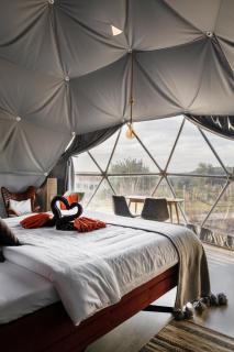 Glamping Casa Esteval - Rocha Amarela - 8