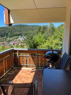 Ferienwohnung Schöne Aussicht - Todtmoos - 0