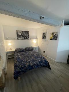 Le patio de Montpellier - 6