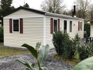 Knus chalet in de bossen van Epe met fietsen - Epe - 0