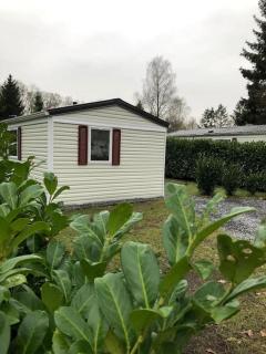 Knus chalet in de bossen van Epe met fietsen - Epe - 7