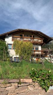 Gfillhof Ferienwohnung 2 - Eppan an der Weinstraße - 2