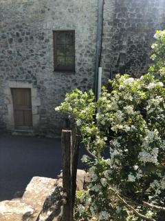 Gîte des pins - 4