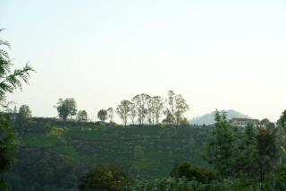Misty 39 Athigaratty - Coonoor - 0