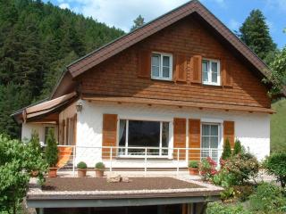 wo der Schwarzwald am schönsten ist - Talblick - - Baiersbronn - 0