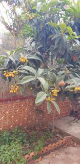 Ognina Marina Gem - 2