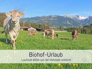 Biohof Burger, 3 sonnige Fewo, alle mit Balkon, Spielzimmer, Grillhütte, 7 km vor Oberstdorf - Bolsterlang - 7