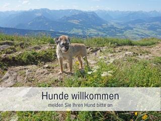 Biohof Burger, 3 sonnige Fewo, alle mit Balkon, Spielzimmer, Grillhütte, 7 km vor Oberstdorf - Bolsterlang - 9