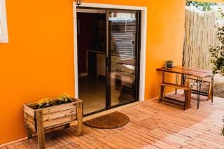 Garden Oasis - Windhoek - 9
